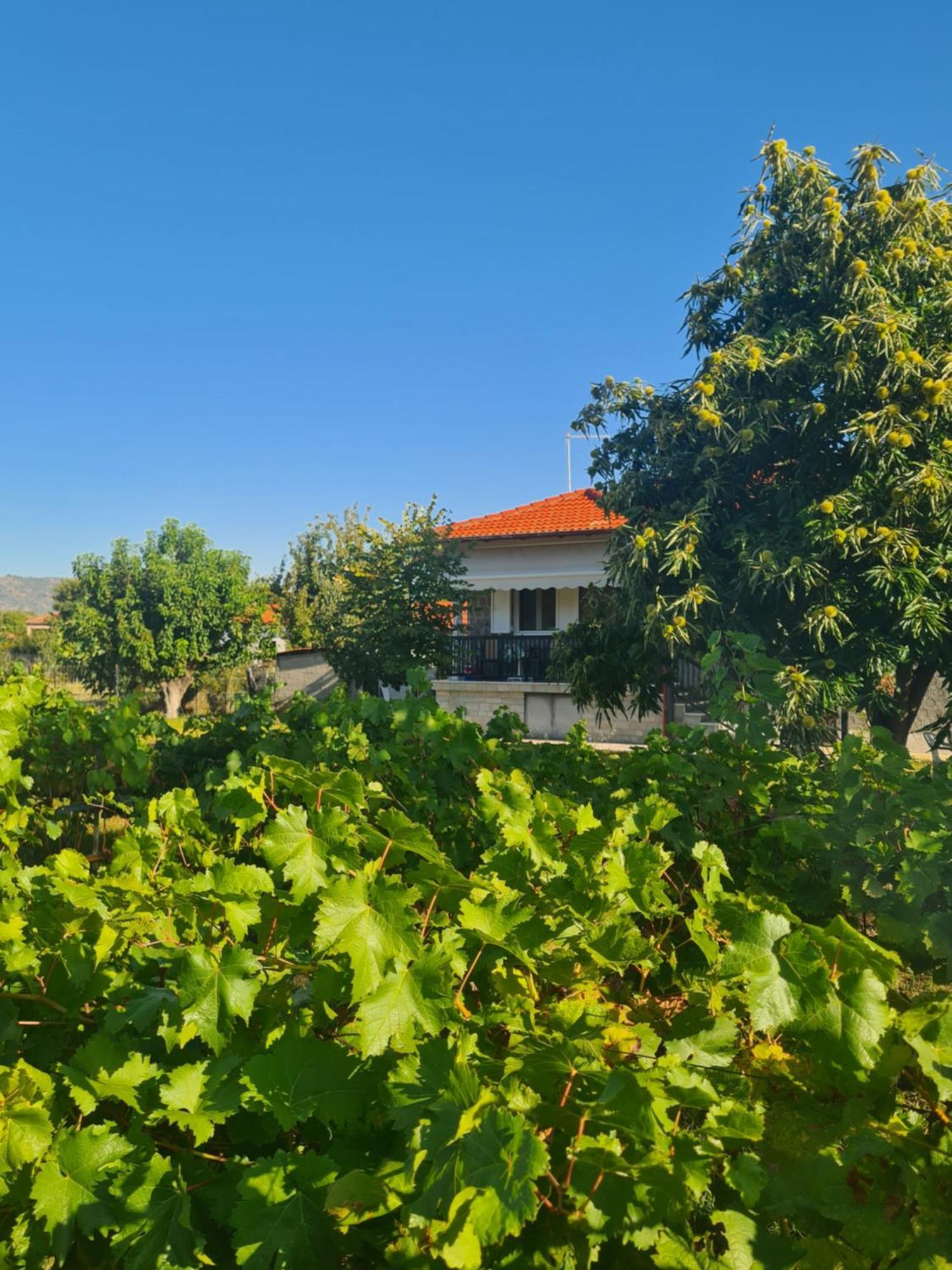 Holiday home Anna Mitropolis (Thessaly)